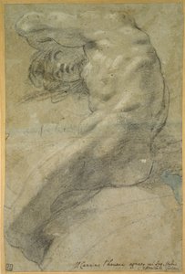 Study of a Nude Man